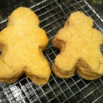 ginger bread biscuits